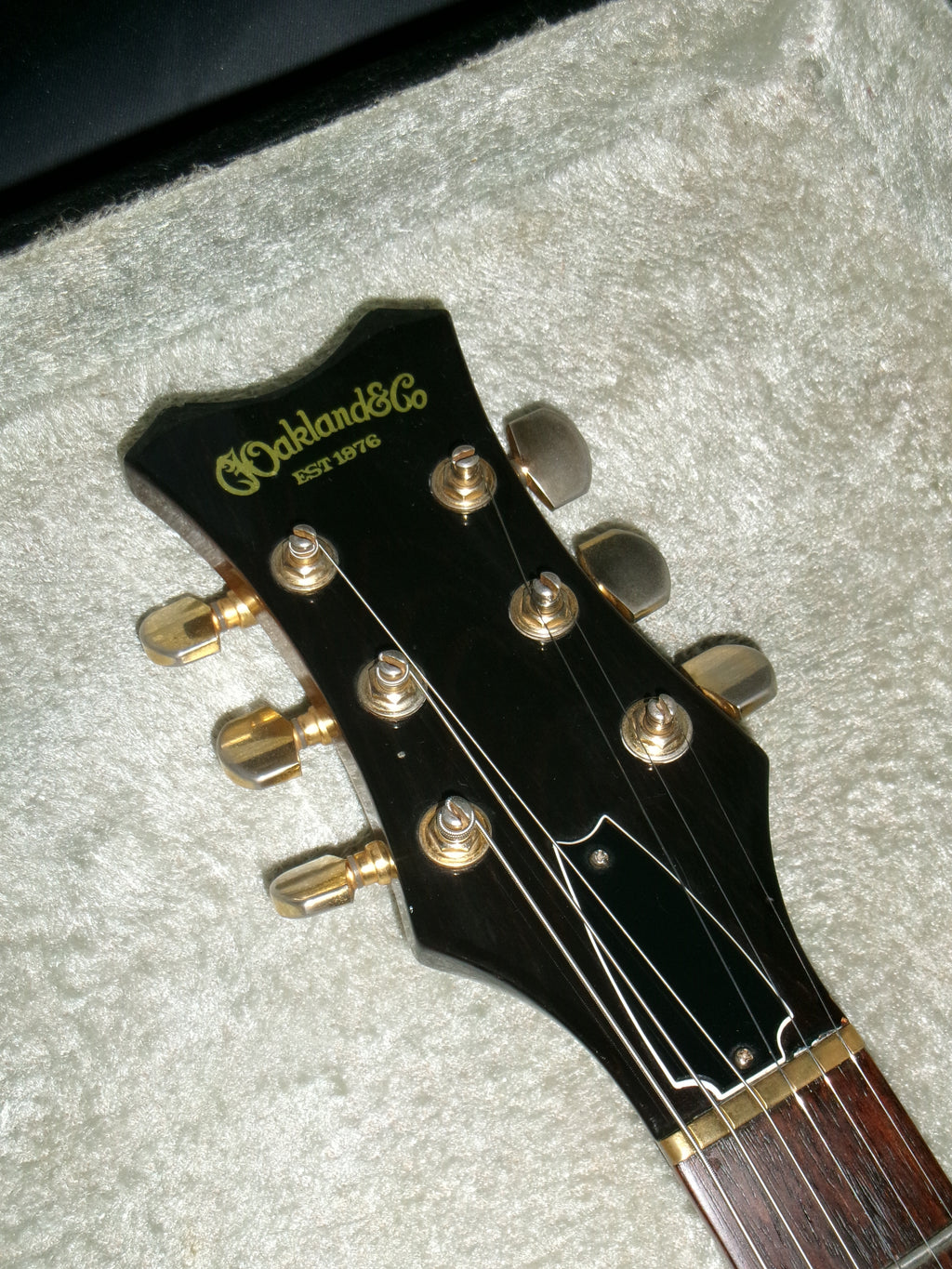 Oakland XI100 Double Cutaway (Japan 1980)