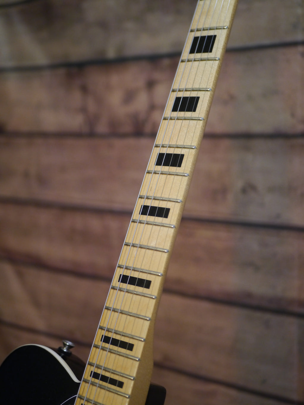 Raven-Guitars Bradocaster 60s Thinline Sparkling Metallic Black